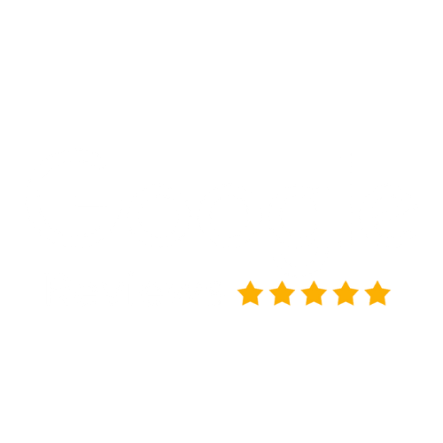 Google Reviews badge displayed on the company website